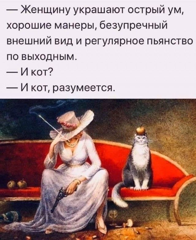 Женщину украшают острый ум хорошие манеры безупречный внешний вид и регулярное пьянство по выходным И кот И кот разумеется