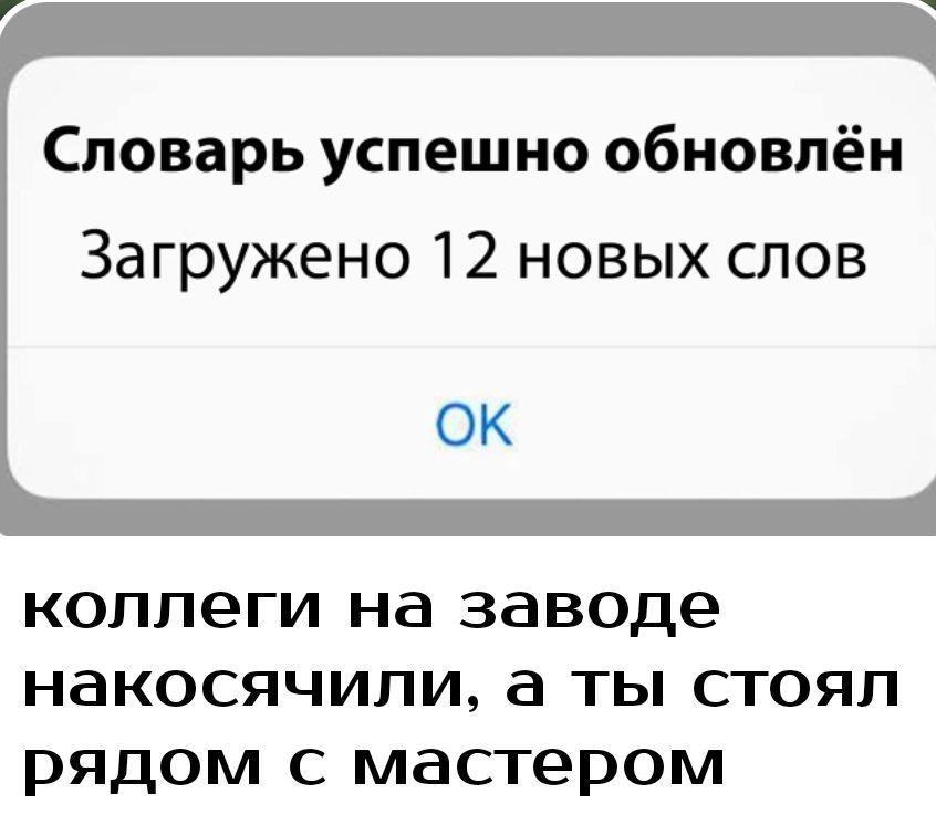 Словарь успешно обновлён Загружено 12 новых слов ОК коллеги на заводе накосячили ты стоял рядом с мастером