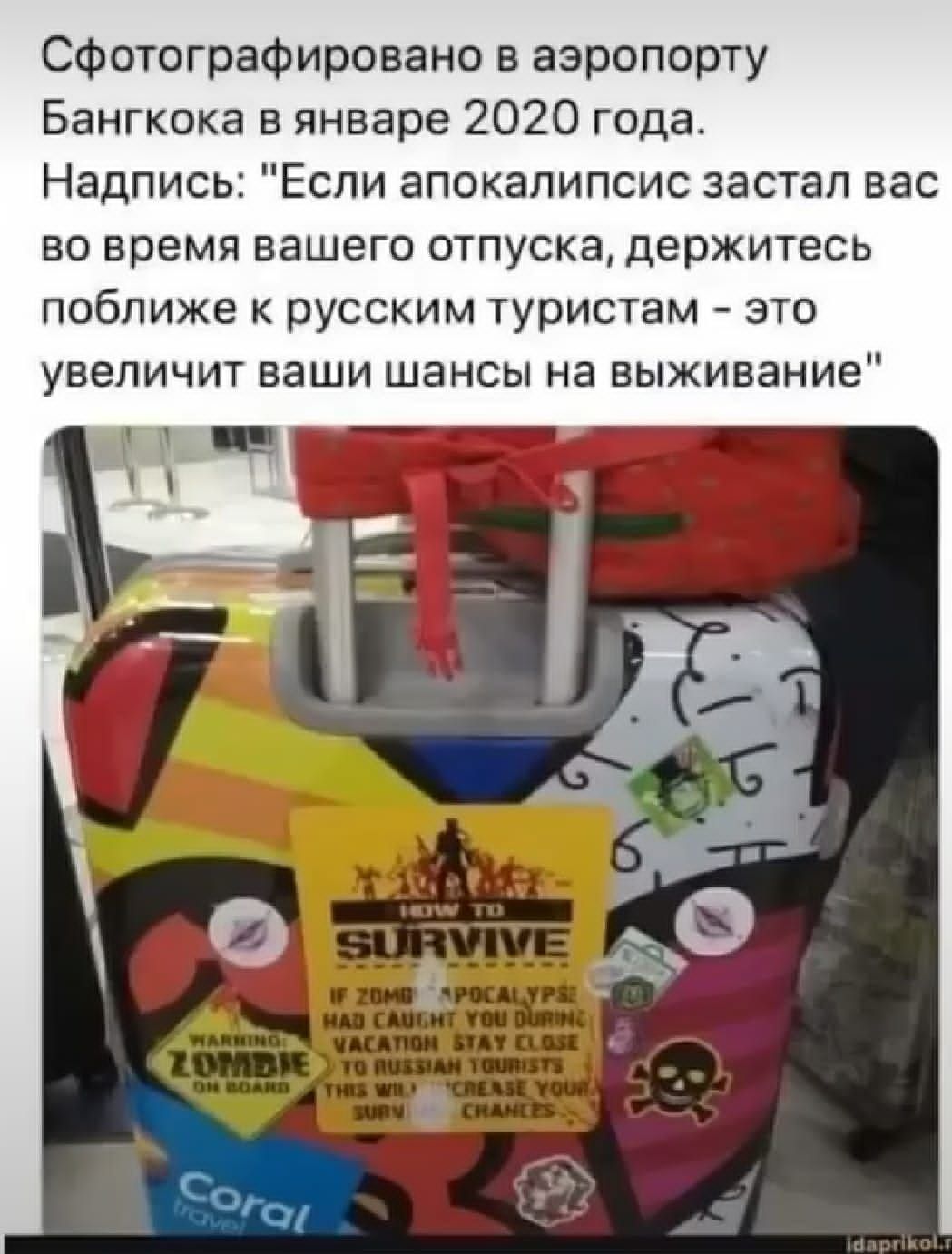 сфотографирована в аэропорту Бангкока в январе 2020 года Надпись Если апокалипсис аастап вас во время вашего отпуска держитесь поближе к русским туристам это увеличит ваши шансы на выживание