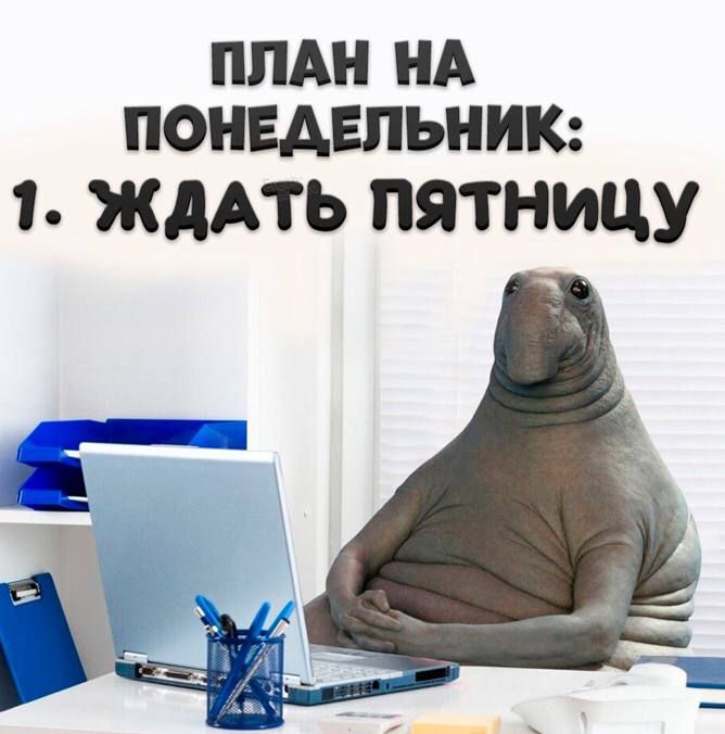 ПЛАН НА ПОНЕДЕЛЬНИК 1 ЖДАТЬ ПЯТНИЦУ