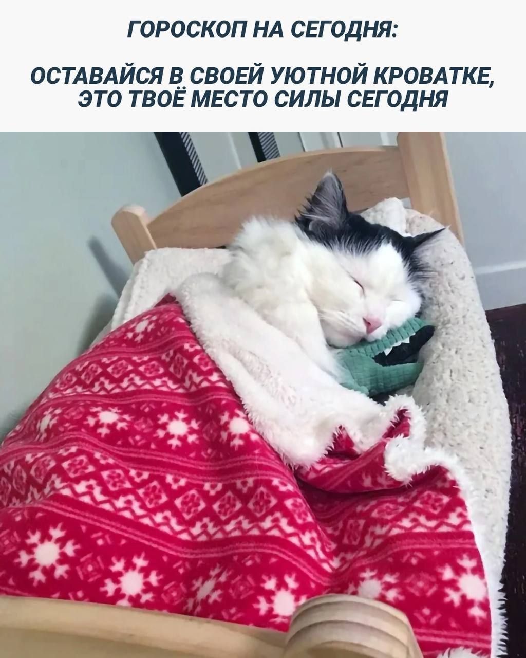 ГОРОСКОП НА СЕГОДНЯ ОСТАВАЙСЯ В_ СВОЕЙ УЮТНОЙ КРОВАТКЕ ЭТО ТВОЁ МЕСТО СИЛЫ СЕГОДНЯ
