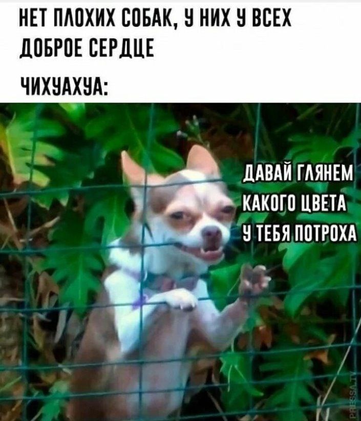 НЕТ ПАПХИХ СПБАК В НИХ Н ВСЕХ дПБРПЕ СЕРДЦЕ ЧИХНАХНА давай глянвм кАкпгп цвш и ТЕБЯ потгпхд