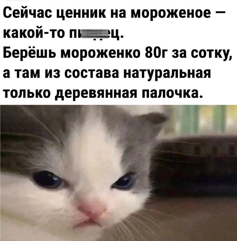 Сейчас ценник на мороженое какой то пцц Берёшь мороженко 80г за сотку а там из состава натуральная только деревянная палочка