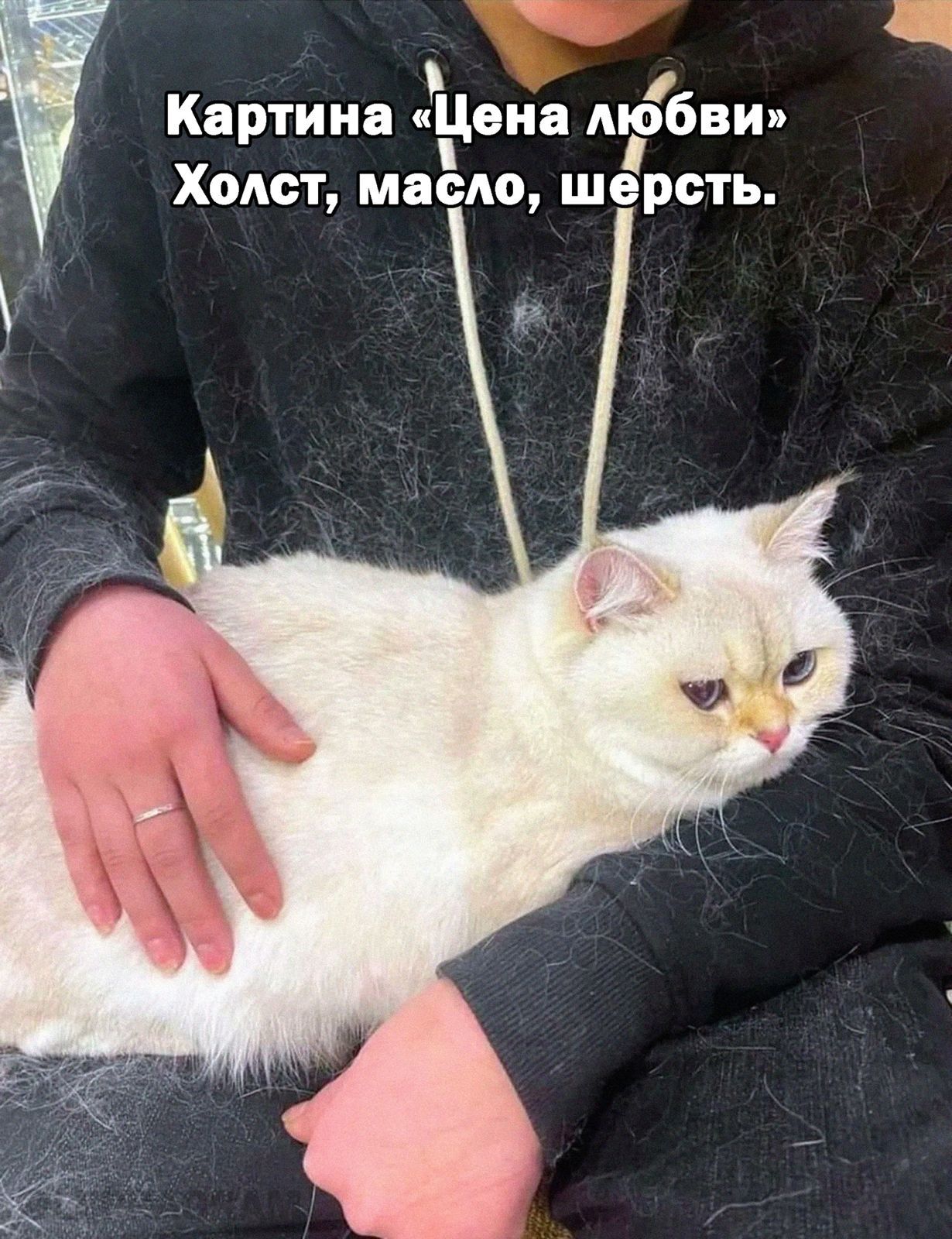 Картина ківиа мобвт Холст масло шерсть