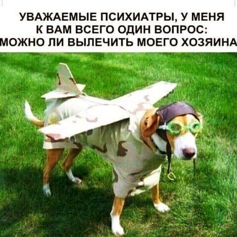 УВАЖАЕМЫЕ ПСИХИАТРЫ У МЕНЯ К ВАМ ВСЕГО ОДИН ВОПРОС ОЖНО ПИ ВЫПЕЧИТЬ МОЕГО ХОЗЯИН