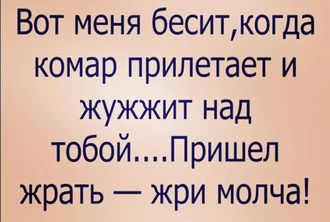 Вот меня беситкогда комар прилетает и жужжит над тобойПришел жрать жри молча