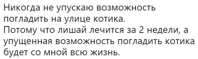 НИКОГДЭ не упускаю ВОЗМОЖНОСТЬ погладить на улице котика Потому что лишай лечится за 2 недели а упущенная возможность погладить котика будет со мной всю жизнь
