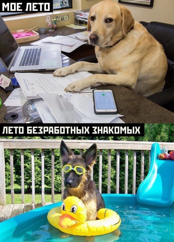 МОЕ ЛЕТО 5