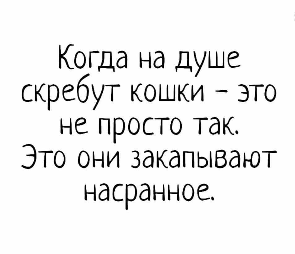 Когда на душе скребут кошки это не просто так Это они закапывают насранное