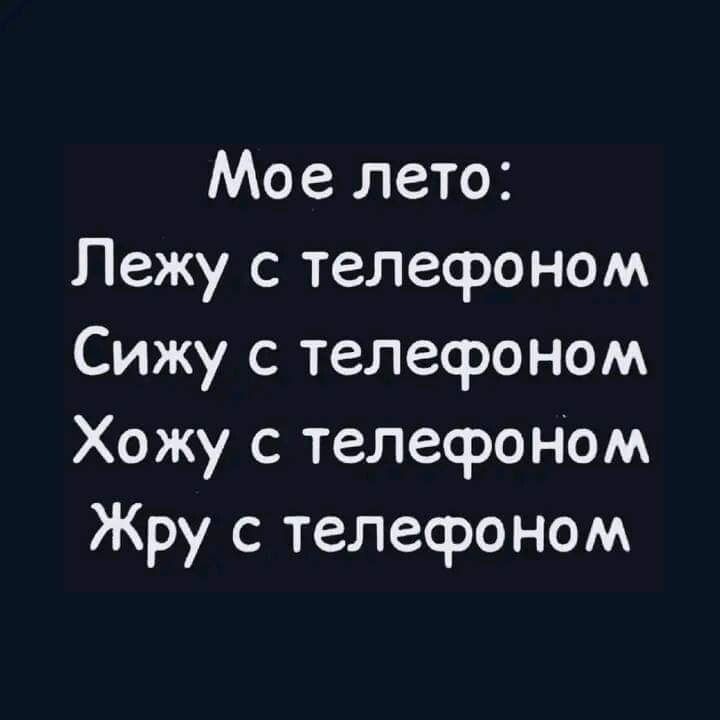 Мое лето Лежу с телефоном Сижу с телефоном Хожу с телефоном Жру с телефоном