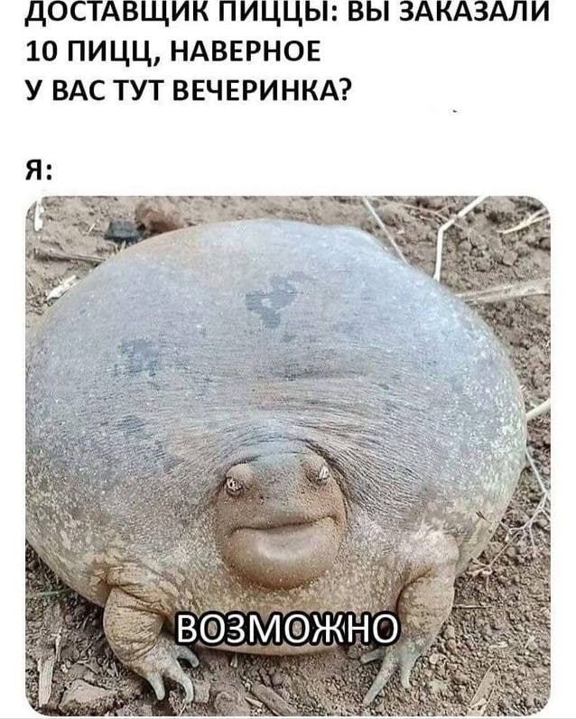 10 ПИЦЦ НАВЕРНОЕ У ВАС ТУТ ВЕЧЕРИНКА