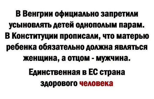 В Венгрии официально запретили усыновлять детеи однополым парам В Конституции прописали что матерью ребенка обязательно долина являться женщина а от мужчина Единственная в Ес страна здорового человека