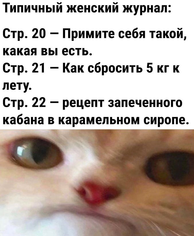 Типичный женский журнал Стр 20 Примите себя такой какая вы есть Стр 21 Как сбросить 5 кг к лету Стр 22 рецепт запеченного кабана в карамельном сиропе