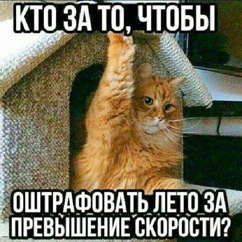 КТ113ЁШд ЧТОёЫ оштРАФпвдтьтЁтбіА превышениыкоюстш
