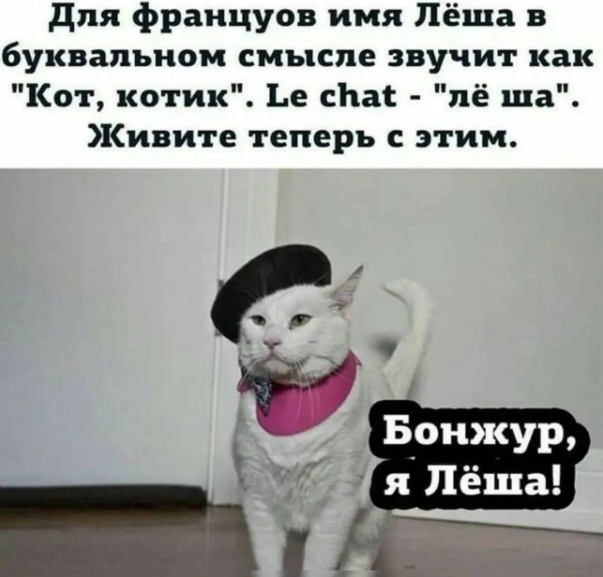 для француов имя Лёша в буквальном смыспе звучит как Кот котик Ье сЬас пё ша Кивите теперь с этим