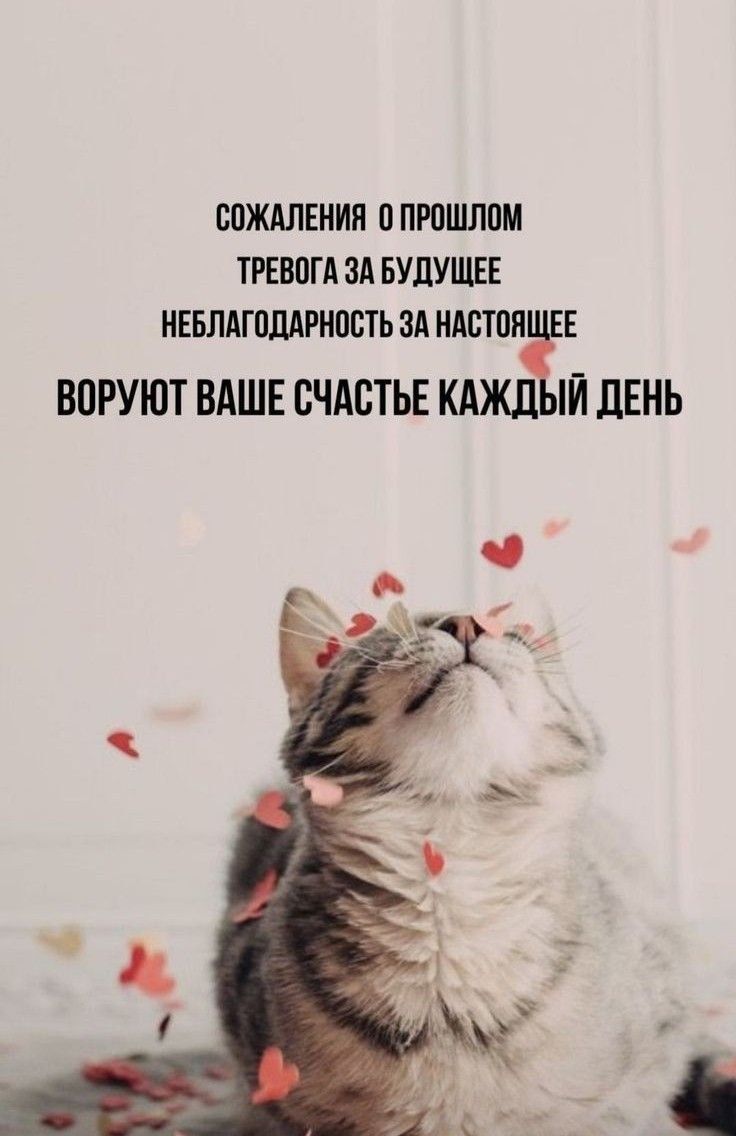 БОЖАЛЕНИЯ ППРПШЛВМ ТРЕВПГА ЗА БУДУЩЕЕ НЕБЛАГПЛАРИОСТЬ ЭА ИАВТПП Е ВПРУЮТ ВАШЕ СЧАСТЬЕ КАЖЛ П ЛЕНЬ