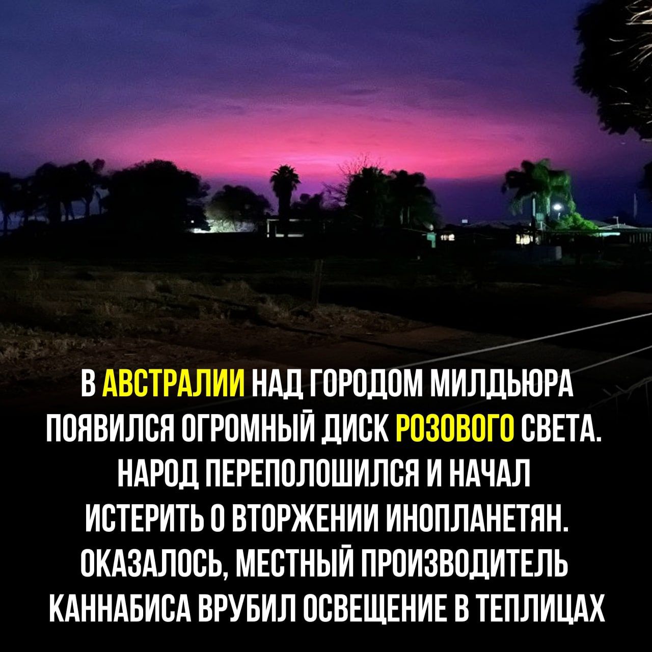 В АВВТРАЛИИ НАД ГПРПЛПМ МИЛЛЫПРА ПППВИЛВН ПГР0МНЫЙ ДИСК РОЗВБПГП СВЕТА НАРПЛ ПЕРЕППЛПШИПЕН И НАЧАЛ ИБТЕРИТЬ П ВТПРЖЕНИИ ИНППЛАНЕТНН ПКАЗАЛПСЬ МЕСТНЫЙ ПРПИЗВПДИТЕЛЬ КАННАБИВА ВРУБИП ОСВЕЩЕНИЕ В ТЕПЛИЦАХ