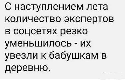 С наступлением лета количество экспертов в соцсетях резко уменьшилось их увезли к бабушкам в деревню