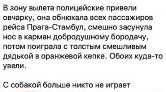 В зону вылета полицейские привели овчарку она обнюхапа всех пассажиров рейса Прага Стамбул смешно засунула нос в карман добродушному бородачу потом поиграла с толстым смешливым дядькой н оранжевой кепке Обеих куда то увели С собакой больше никто не играет