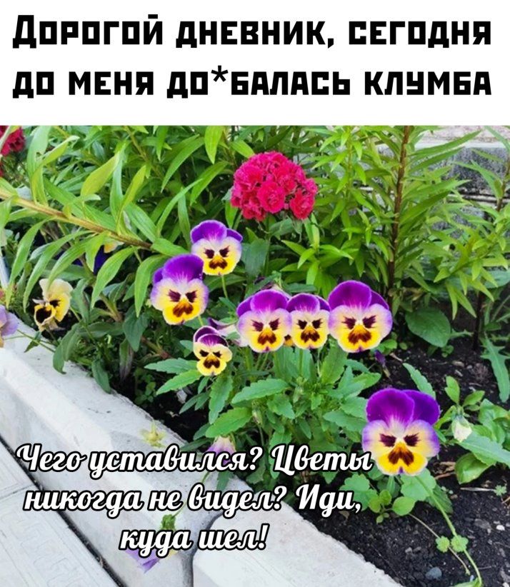 дпппгпй днввник гпдня дп меня дпнптпь кпнмнд