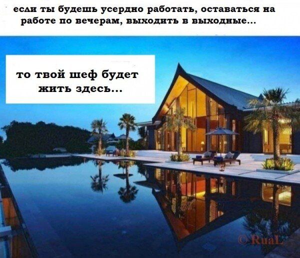 то твой шеф Будет жить здесь