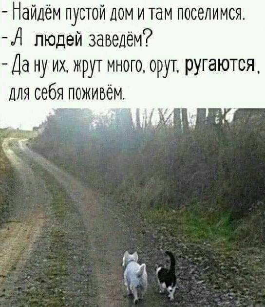 Найдём пустой дом и там посепимся _Д людей заведём Да ну их жрут много орут ругаются для себя пожиъём