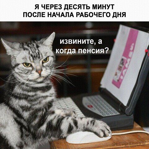 Я ЧЕРЕЗ дЕСЯТЬ МИНУТ СПЕ НАЧАЛА РАБОЧЕГО дНЯ извинитеа когда пенсия