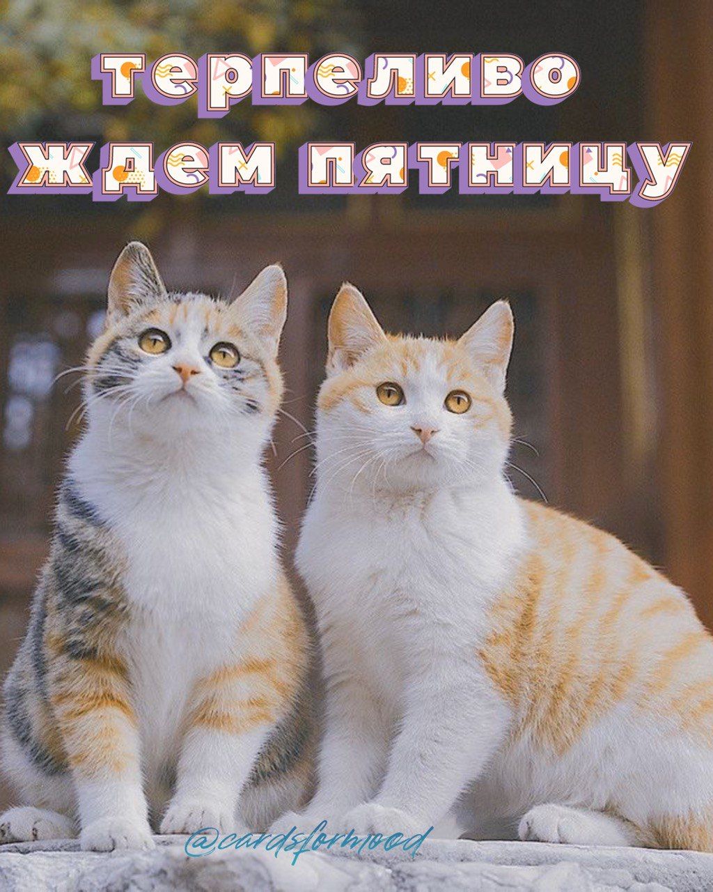 ъ щЖ