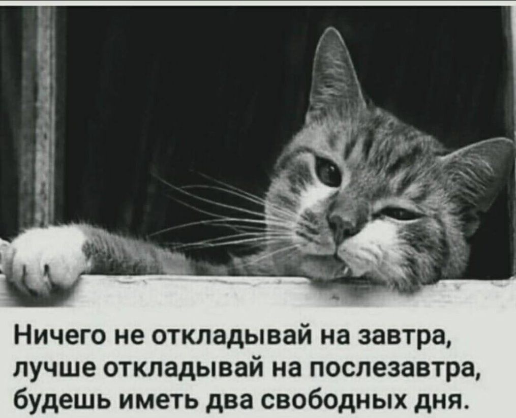 дв Ничего не откладывай на завтра лучше откладывай на послезавтра будешь иметь два свободных дня