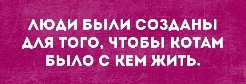 АЮАИ БЫАИ СОЗААНЫ ААЯ ТОГО ЧТОБЫ КОТАМ БЫАО с КЕМ ЖИТЬ