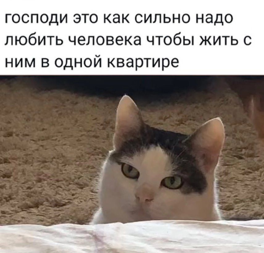 господи это как сильно надо любить человека чтобы жить с ним в одной квартире