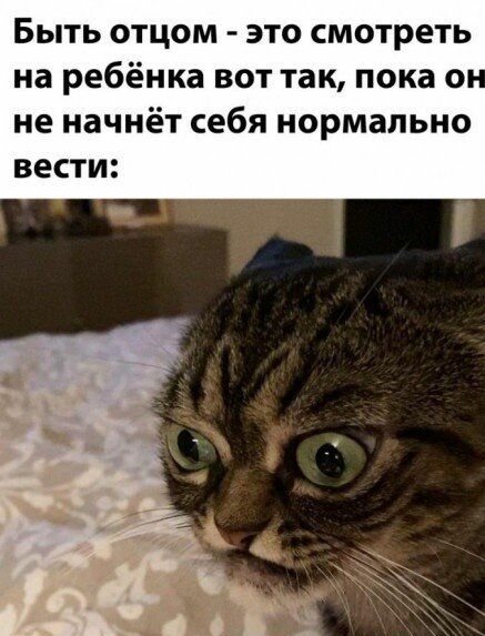 Быть отцом это смотреть на ребёнка вот так пока о не начнёт себя нормально ВЕСТИ