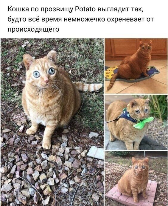 т о т е а в е н г В х о о к ч е Ж о и м е н я м 9 Р в е с в о т д У 6 к т т и д т ы Ш Ш Р у Щ зю е щ од в км КП