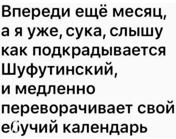Впереди ещё месяц а я уже сука слышу как подкрадывается Шуфутинский и медленно переворачивает свой ебучий календарь