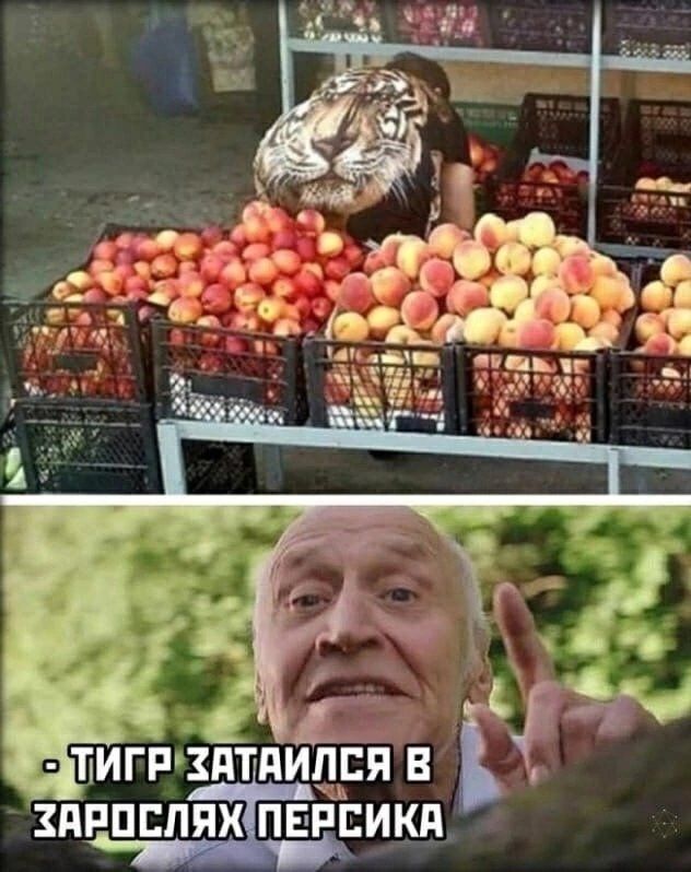 _ У _ в ПИГРЗПТПИДЩВП В ЗДЕППППХПЕРЕИЩ