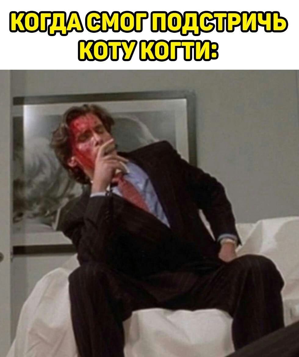 КОГДА ЕМОГ ПОДСТРИЧЬ КОТУ КОГТИ