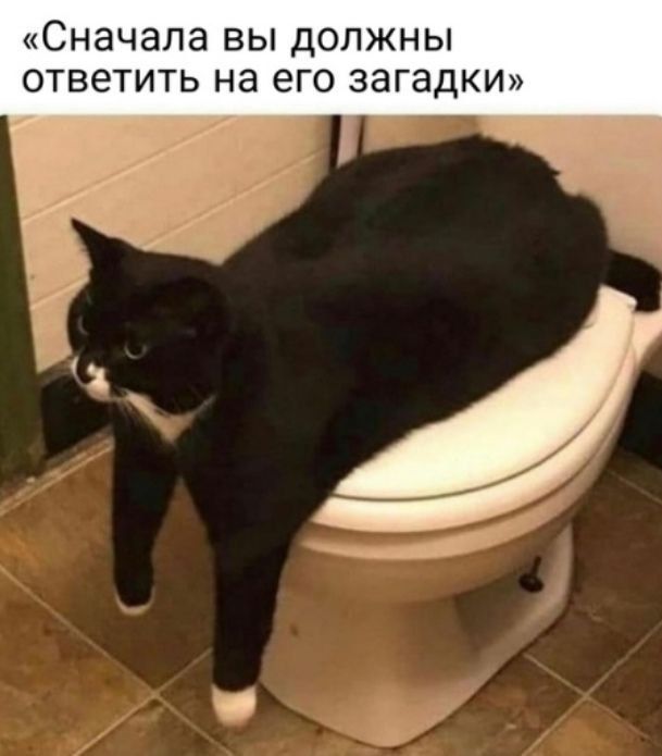 Сначала ВЫ ДОЛЖНЫ ОТВЕТИТЬ на его ЭЗГЭДКИ