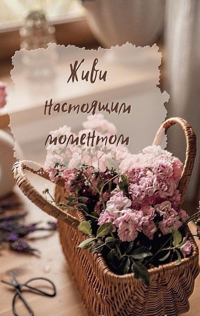 ЖИЁИ НастиМит момеНтом