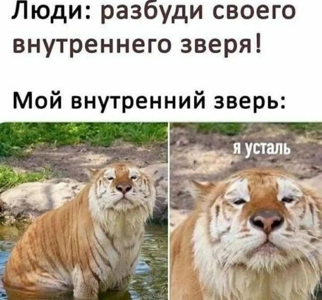 Люди разбуди своего внутреннего зверя Мой внутренний зверь