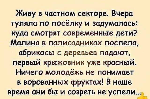 Живу в частном секторе Вчера гуляла по посёлку и задумолась куда смотрят современные дети Машина в паписадниках поспела абрикосы с деревьев падают первый крыжовник уже красный Ничего молодёжь не понимает в ворованных фруктах В наше время они бы и созреть не успели