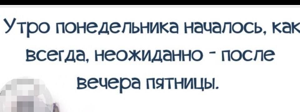 УТРО ПОНЭДеПЬНИКВ НЗЧВПОСЬ как Всегда неожиданно ПОСЛЕ вечера ПЧТНИЦЫ ь
