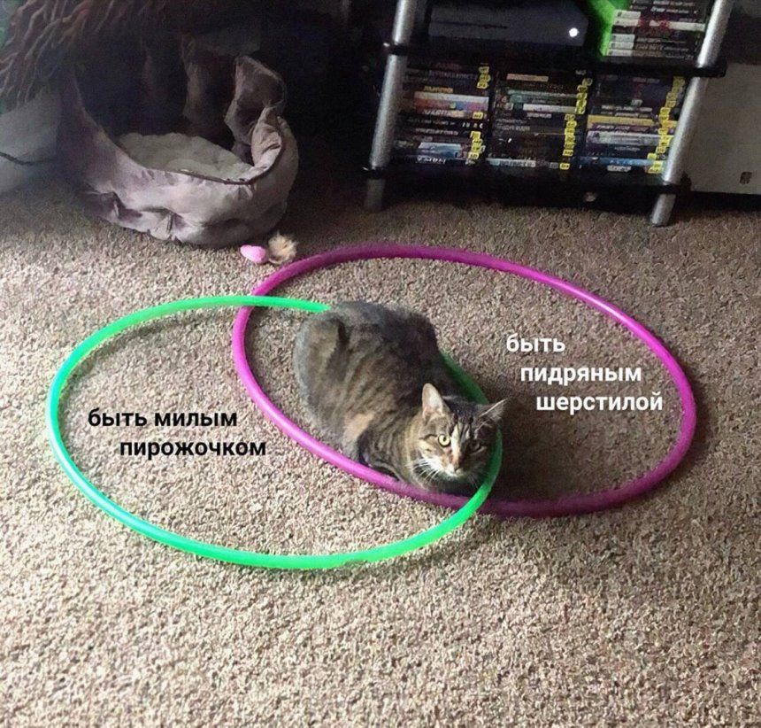 бьпь мипьпм пирожочиом