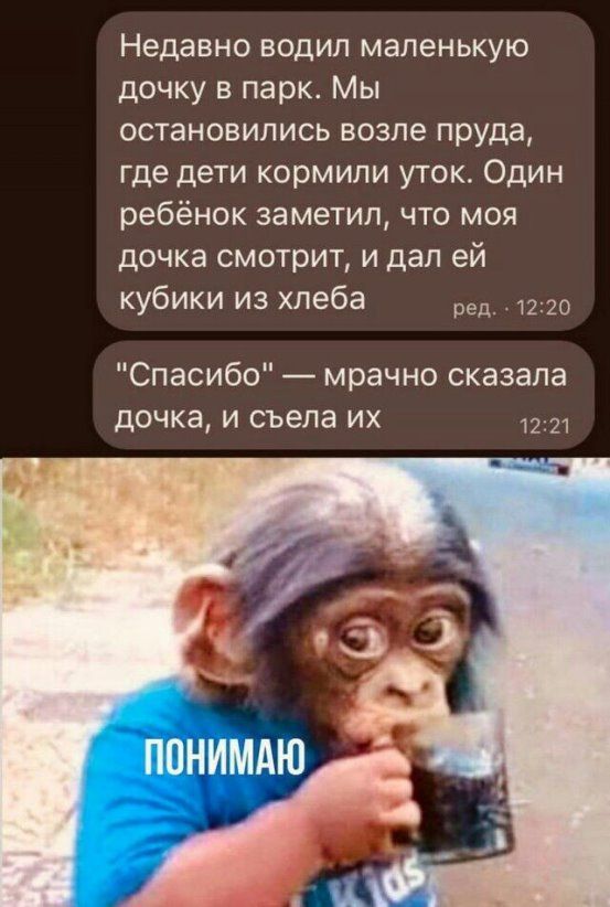 Недавно водил маленькую дочку в парк Мы остановились возле пруда где дети кормили уток Один ребёнок заметил что моя дочка смотрит и дал ей кубики из хлеба го Спасибо мрачно сказала дочка и съела их