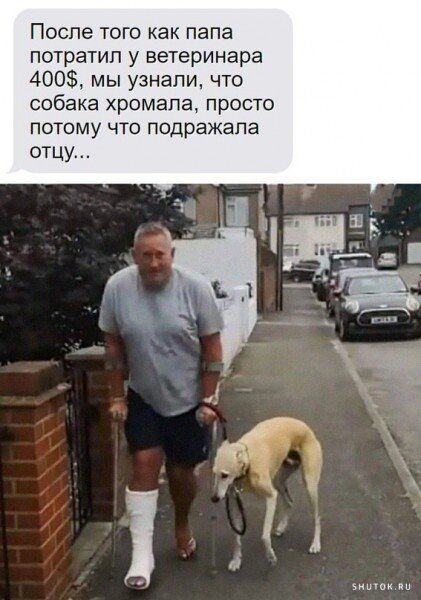 После того как папа потратил у ветеринара 400 мы узнали что собака хромапа просто ПОТОМУ ЧТО подражапа отцу