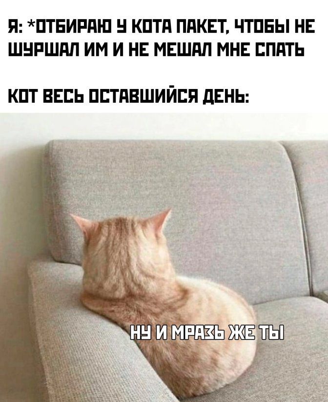 П ПТБИРПШ КПТЯ ППКП ЧТПЕЫ НЕ ШНРШМ ИМ И НЕ МЕШАП МНЕ ЕППТЬ КПТ ВЕСЬ ПЕТНВШИЙЕЯ дЕНЬ