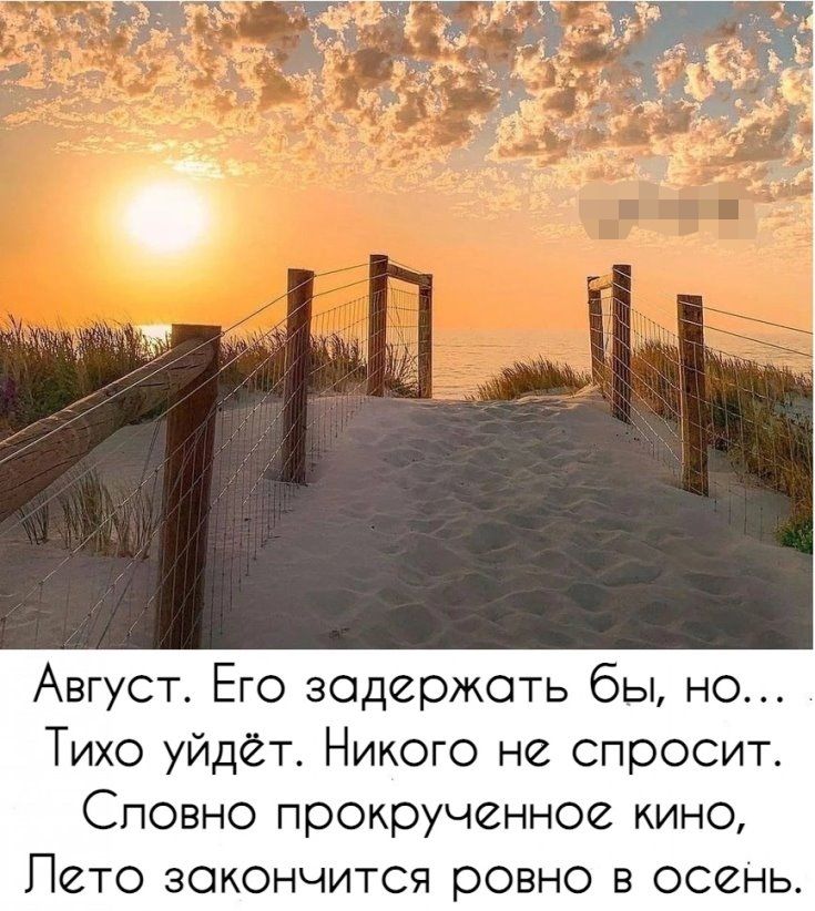 Август Его задержать бы но Тихо уйдёт Никого не спросит Сповно прокрученное кино Пето закончится ровно в осень