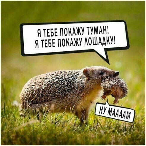 Я ТЕБЕ ПОКАЖ ТУМАН Я ТЕБЕ ПОКАЖ АОШААКУ