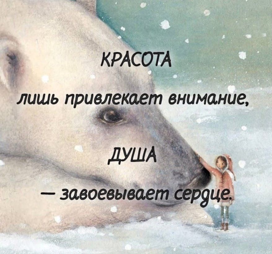 КРАЪОТА лишь привлекает внимание и
