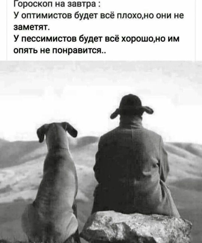 Гороскоп на завтра У оптимистов будет всё ппохомо они не заметит У пессимистов будет всё хорошоно им опять не понравится