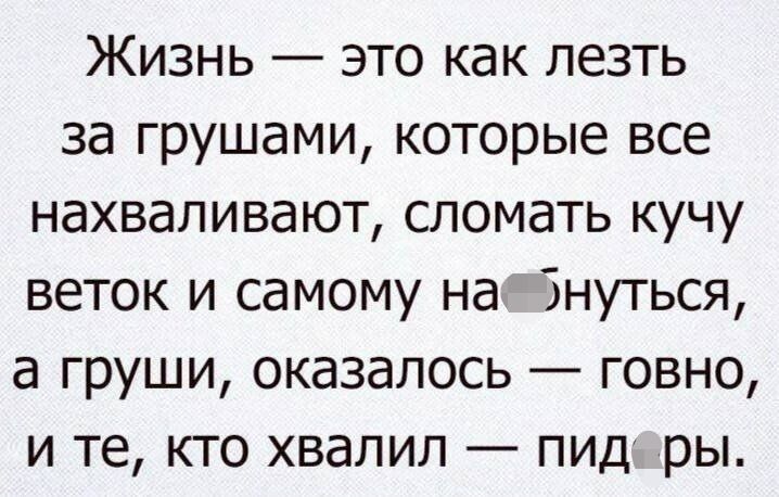 Жизнь это как лезть за грушами которые все нахваливают сломать кучу веток и самому на Знуться а груши оказалось говно и те кто хвалил пид ры
